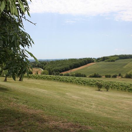 Domaine De Perches Bed & Breakfast Gaillac Bagian luar foto